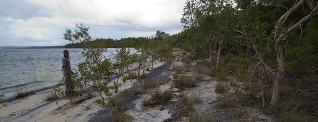 Habitat Ampitabe 2