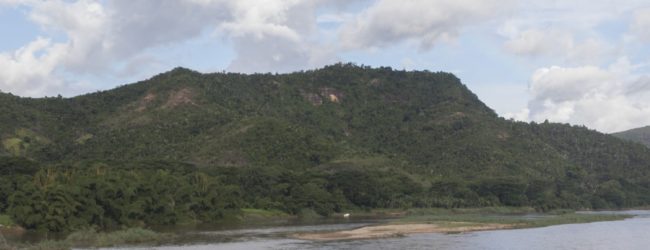 Furcifer pardalis Habitat Sambirano Ambanja