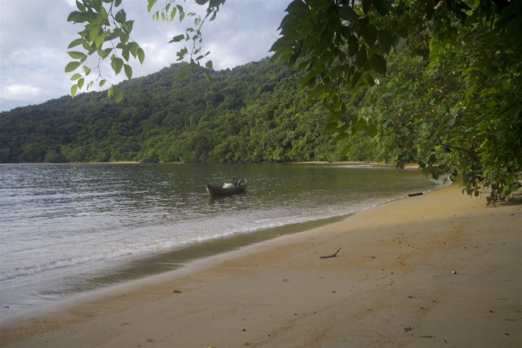 (Deutsch) Habitat auf der Insel Nosy Mangabe, 2014