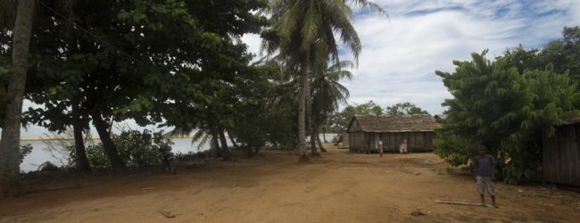Fundort in Sambava, 2014