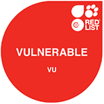 IUCN Red List: vulnerable