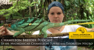 Chameleon Breeder Podacast Episode 64