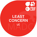IUCN Red List: least concern