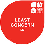 IUCN Red List: Least concern