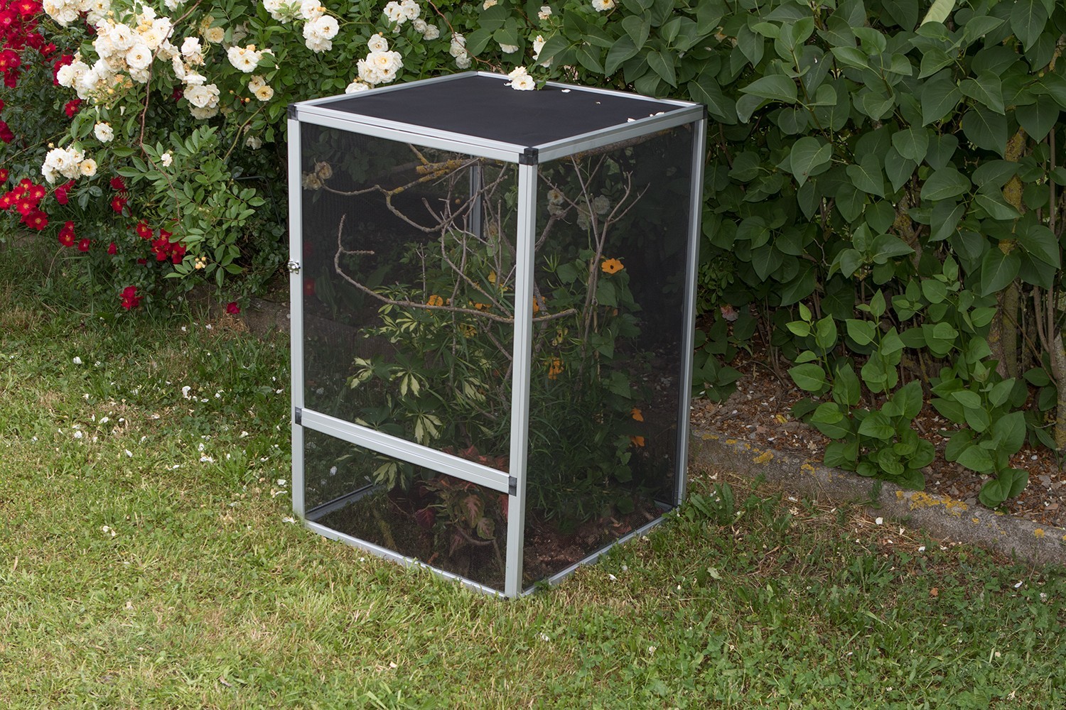 chameleon screen cage