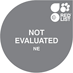 IUCN Red List: not evaluated