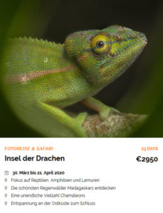 Expeditionen Insel der Drachen HRE