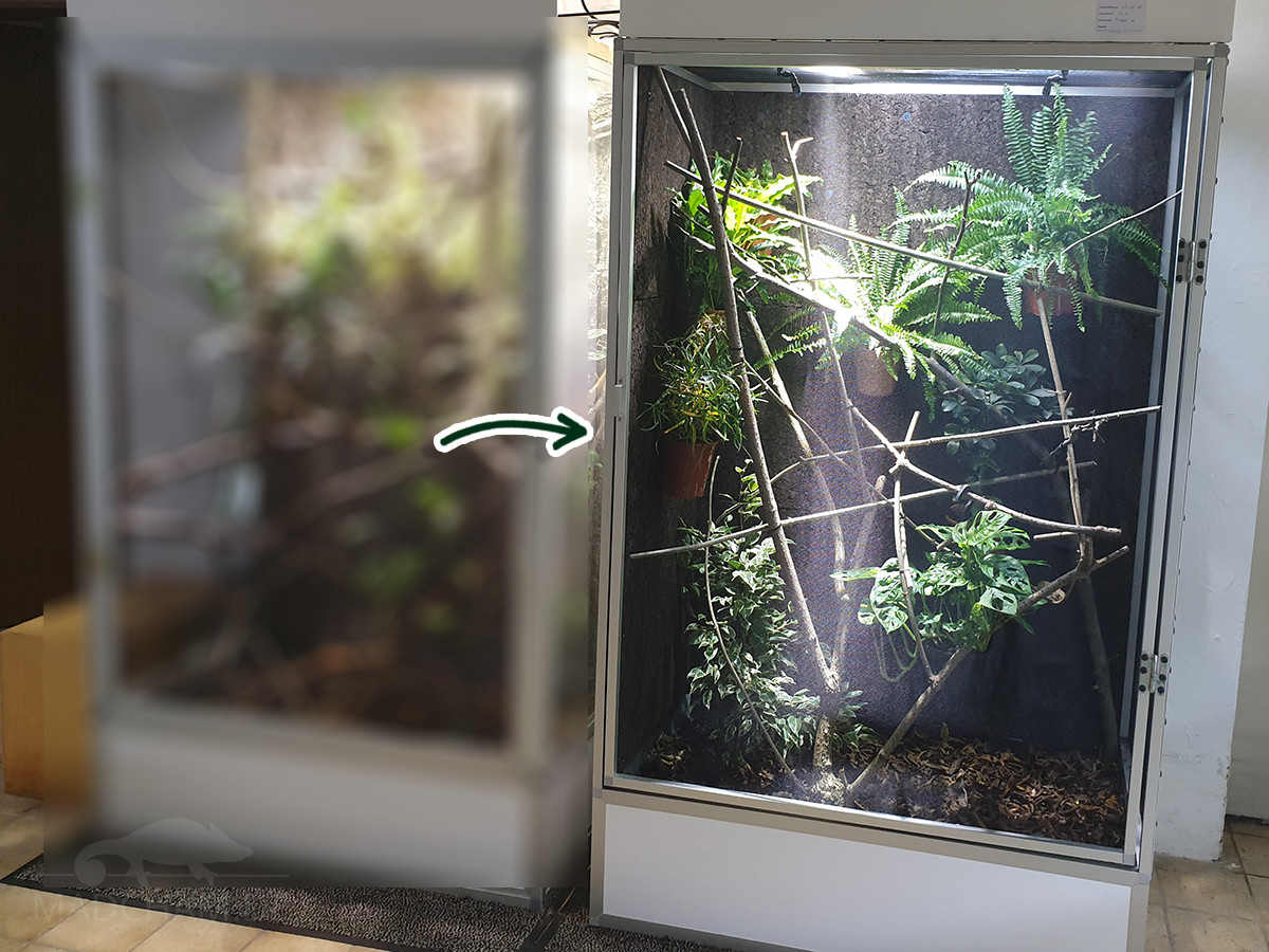 Algebraisk Wardian sag Integration Instructions for buildiMaterial required: profile forex terrarium –  Madcham.de