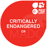 IUCN Red List: critically endangered