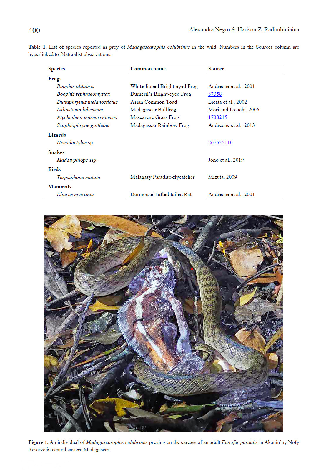 Herp Notes